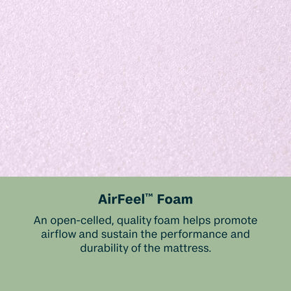 Text about AirFeel foam on a light purple background